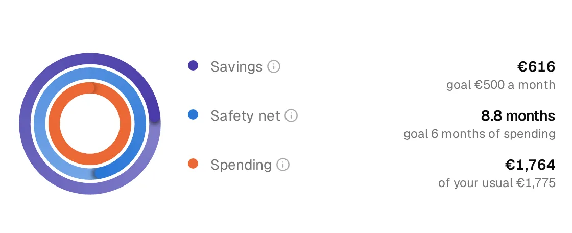 Estalvia’s three rings show savings, financial buffer and monthly spending.